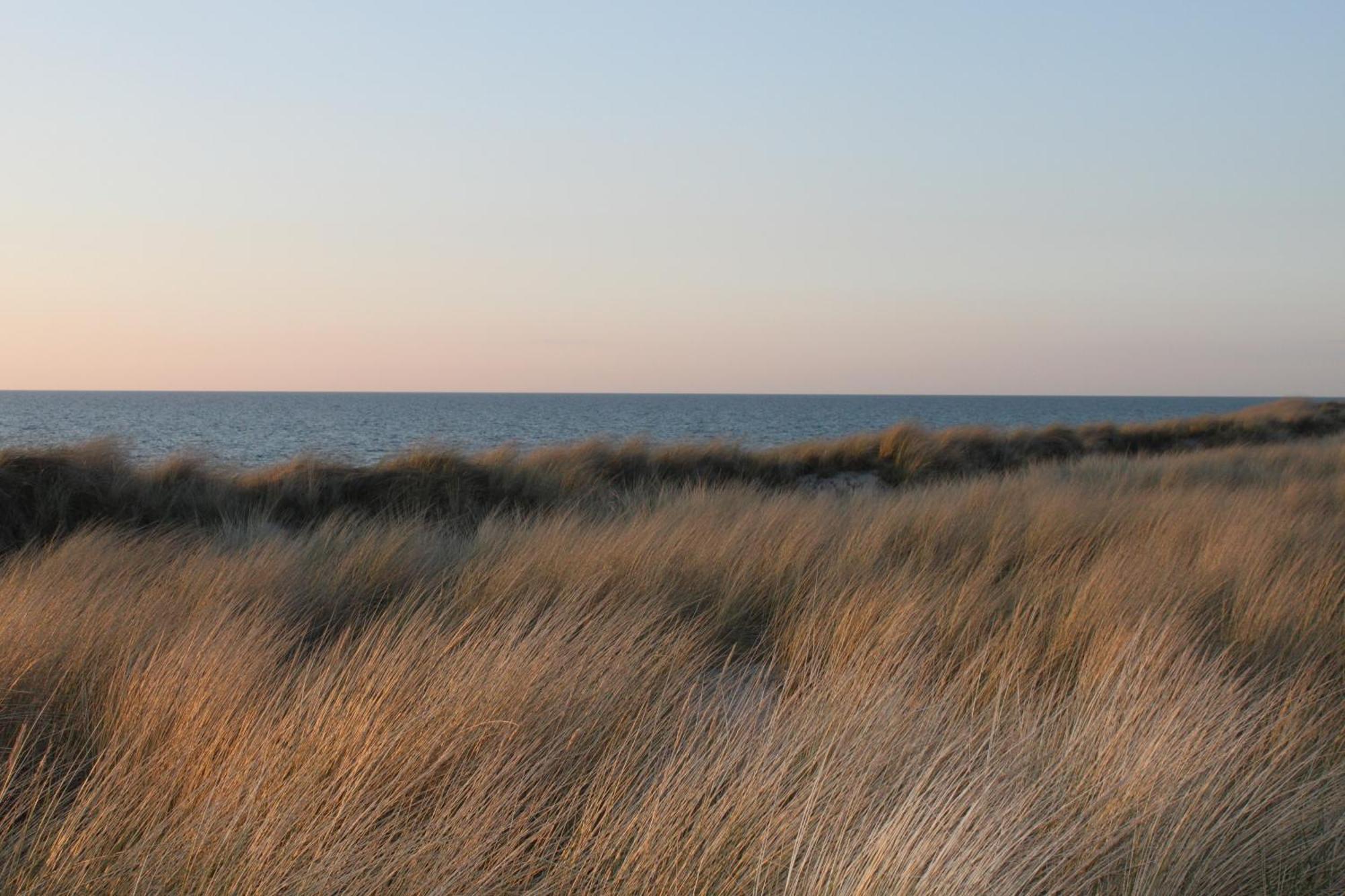 -"Strandhaus Friedrich"- Dierhagen Buitenkant foto
