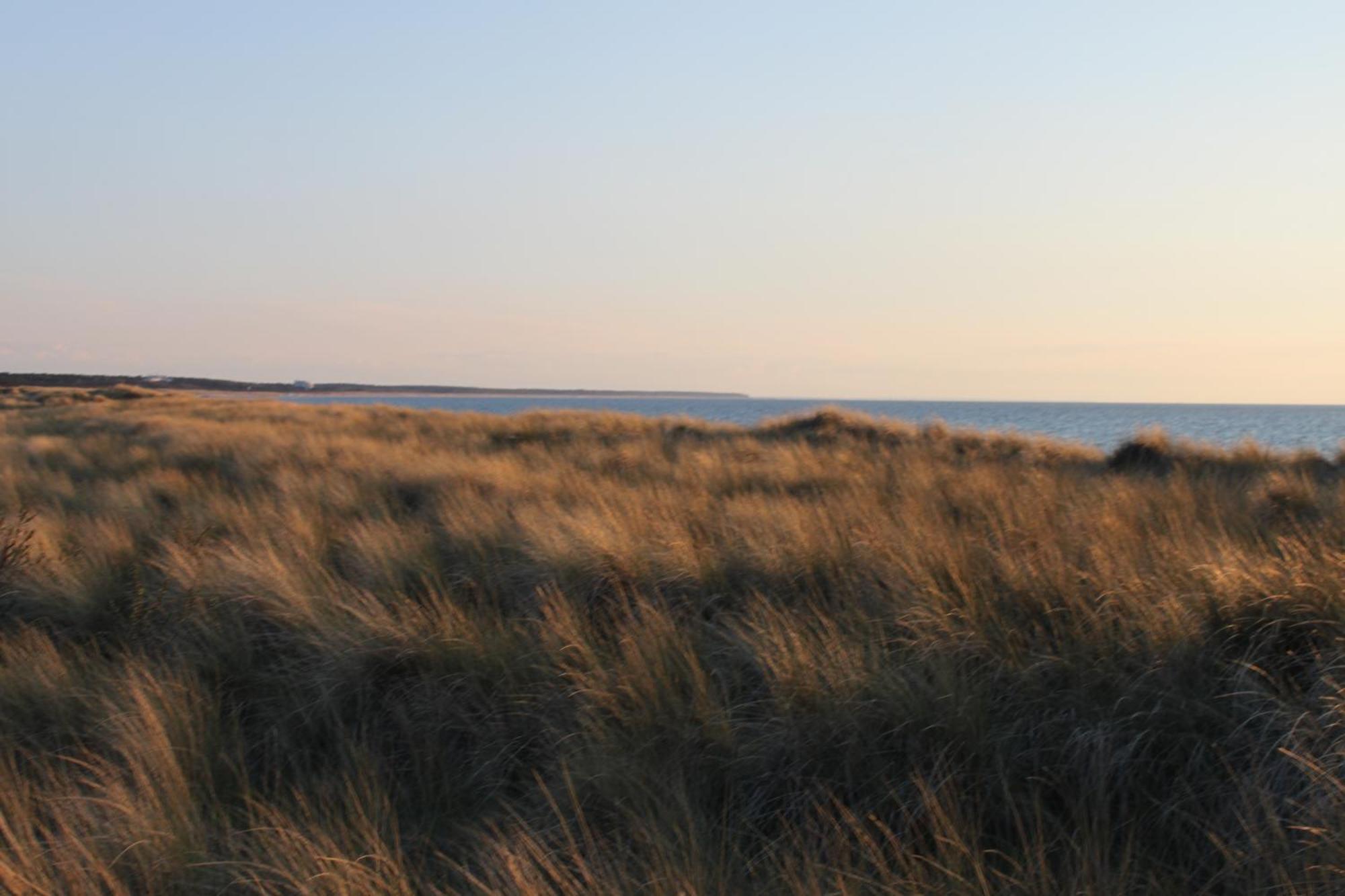-"Strandhaus Friedrich"- Dierhagen Buitenkant foto